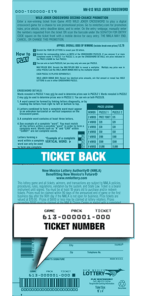 Ticket Back