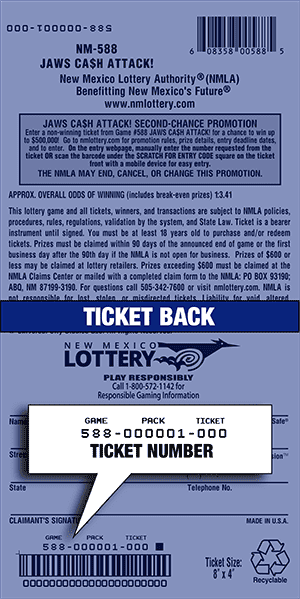 Ticket Back